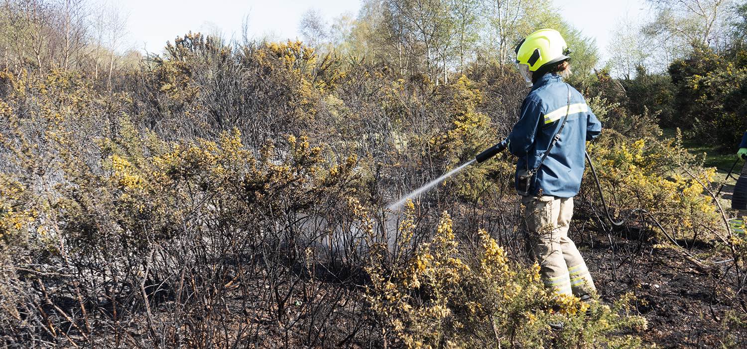 Firefighter hosing down grass fire